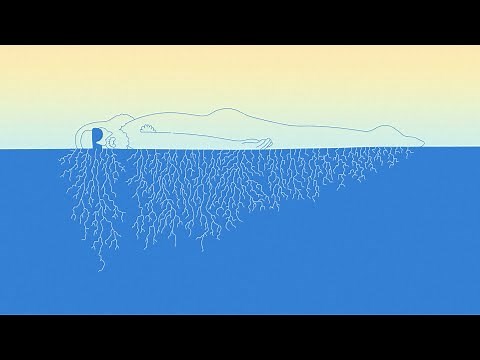 Sébastien Tellier - Stuck in a Summer Love (Official Video)