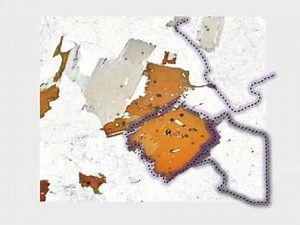 Réaliser le schéma d'une lame mince observée au microscope polarisant