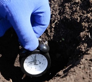 Bye-Bye Bugs! Genius Natural Pest Control Hacks | 3-Minute Hacks