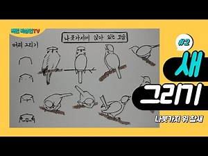 Drawing a Bird (2) - A Sparrow on a Branch