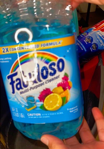 Relaxing Full Cleaning Session with Sudsy ASMR