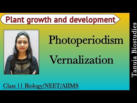 Photoperiodism & Vernalization | LDP/SDP/DNP | Plant growth and development | Class 11 /NEET AIIMS