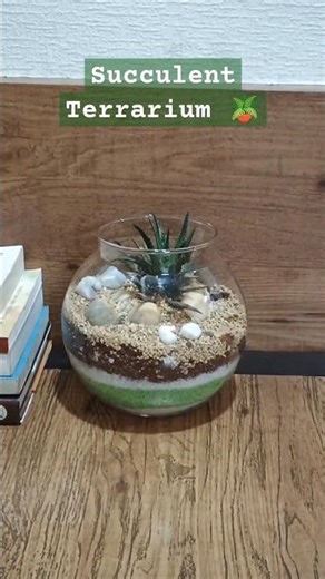 How to Build a Succulent terrarium - Beginner Guide #terrarium #garden #succulents