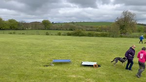 You could be here in the Devon countryside, all starting at £497! AMAZING. 🥳 Bespoke Holidays 🥳 📆 Friday May 10th - Friday May 17th 📆 Monday May 13th - Friday May 17th (deluxe!) 📆 Friday May 24th - Friday May 31st 📆 Monday June 3rd - Friday June 7th 📆 Friday June 7th - Friday June 14th We offer flexible payment plans to tailored training sessions, we're here to make your stay possible. 🌐 Website: https://bowerlandcottageholidays.co.uk/ 📧 Email: contact@devondogs.co.uk | Devon Dogs