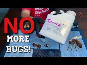 The best bug spray for your home and how to mix it! 🦟