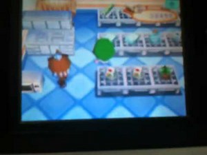 おいでよどうぶつの森 手紙バグで町っぽいものを作ってみた