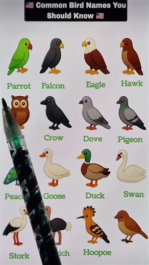 Learn English Quickly and Easily with Weekly Lessons