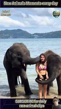 18 AMAZING Animal Clips You MUST See!