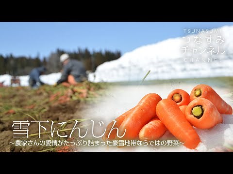 雪下にんじん〜津南農家さんの愛情がたっぷり詰まった豪雪地帯ならではの人参〜