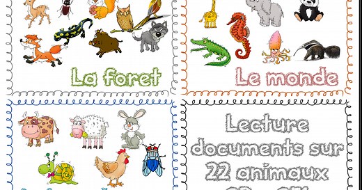 Rallye lecture de documents sur les animaux CP CE1