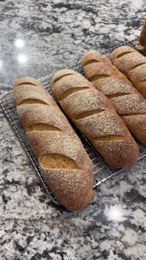 Same recipe, different shape! Fluffy delicious subway style bread 😍🤭 #freshlymilledflour #subwaysandwich #fromscratch #oldworld