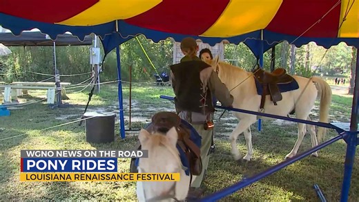 Renaissance Festival Pony Rides Natalie Parsons Introduction