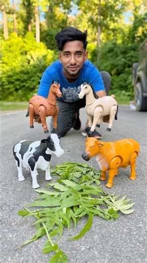 Remote Control 4 ta Animal Horse & Cow Unboxing 😳