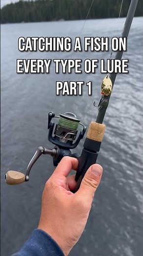 Catching a Fish on Every Lure: Inline Spinner