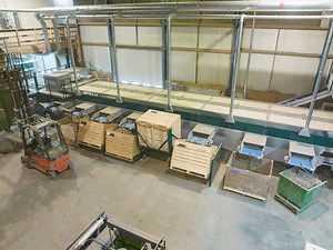 Tolsma-Grisnich optical grading on size and quality with Optica CS and Optica Q