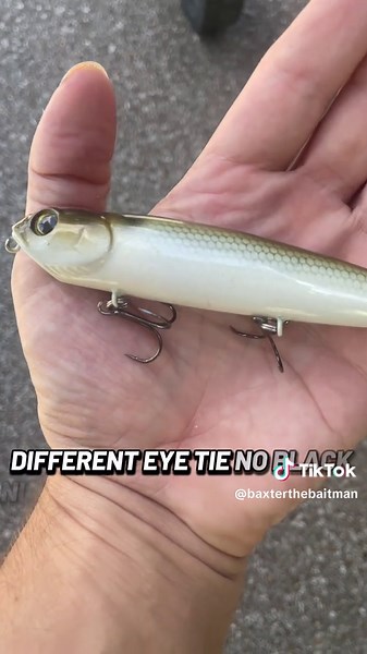 Baitman Baxter on TikTok