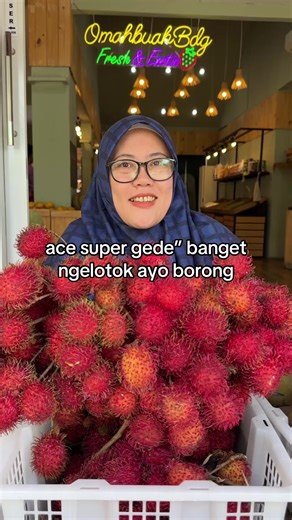 yuhuuu rambutan ace superr mantap bgt guede” ngelotok dan manissss harga msh sama 27/kg 50-2kg ada perusapote lg dan alpkt bengkulu jumbo kuy diborong🍑🍑🍑🍑🍑🍑🍑🍑🍑🍑🍑🍑🍑🍑🍑🍑🍑🍑 Jl. Terusan Jakarta No 325, Bandung freeongkir antapani dsk minor 150rb (radius 5Km) Toko Buka dr jam 8 pagi - 8.30 malam order malam via dm dan wa khusus malam 62 859-5986-0730 siang: 087759375848 085923158800 085251923523 082119602269 komplen hanya bs sameday disertai foto dan video diluar itu kami tidak hande