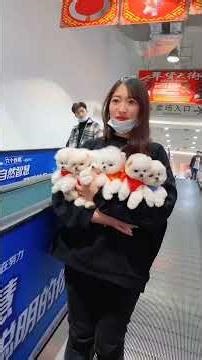 This is the most comforting video you've watched today 📺