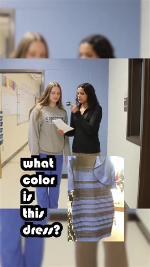is the dress blue and black or white and gold? #debate #fyp #colorillusion #itisblue #viral