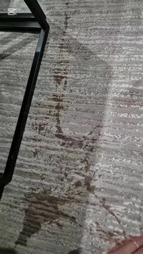 🇧🇪 De ultieme hack voor hardnekkige vlekken! 🧼✨ ​Wist je dat een vaatwastablet niet alleen voor de afwas is? Het is een wondermiddel voor je tapijt! ​Zo doe je het: 1️⃣ Gebruik een harde poedertablet (geen vloeibare gel-pod!). 2️⃣ Los de tablet op in een kom met warm water. 3️⃣ Dep/wrijf op de vlek. 4️⃣ Afnemen met een schone, vochtige doek. ​Probeer het zelf en bedank me later! 🙌 ---- 🇹🇷 İnatçı lekeler için efsane bir yöntem! 🧼✨ ​Bulaşık makinesi tabletinin sadece bulaşıklar için olduğun