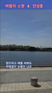 #바람의소원#채희#노래#안성훈#안성훈팬클럽#미스터로또#미스터트롯#일산호수공원#트로트#Shorts#행복