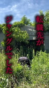 じいちゃんが元気なうちに、 もう1度この畑で育てた野菜を食べてもらいたい。 小さい頃によく手伝っていた畑は、 10年ぶりに帰るとジャングルになっていました。 ここから、もう一度野菜が育つ農園に変えていきます🌱 #畑再生 #耕作放棄地 #農業 #新米農家#佐賀