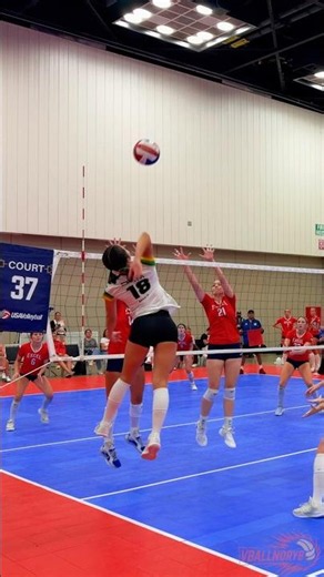 Why Pineapple High Performance Is One of the Best Clubs in the Nation 🔥