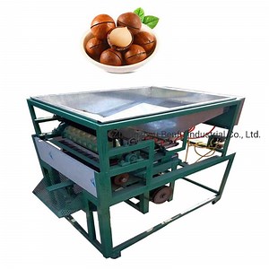 [Hot Item] Automatic Macadamia Nut Cracking Machine Nut Opening Machine