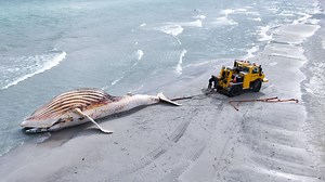 Nachrichten aus Mecklenburg-Vorpommern