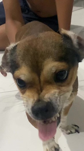 pasther_doki on TikTok