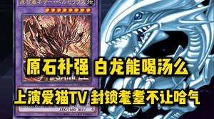 新卡速报，1301原石补强 自带封锁效果还有墓地融合 爱猫人士出击！_游戏王