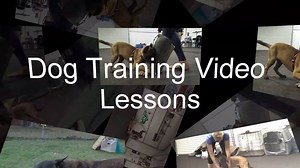 101K views · 631 reactions | www.TrainPerView.com - For those of you, to whom Dog Training isn't just a hobby! | Ivan Balabanov | Facebook