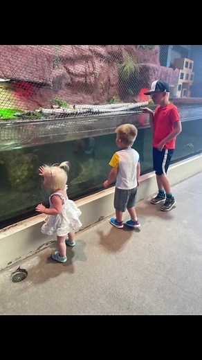 The Great Lakes Aquarium is one of our favorite places to visit! We highly recommend it if you are in the Duluth area. #duluthmn #aquarium #northshore #autism #familyvacation | Finding Cooper's Voice