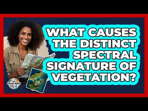 What Causes the Distinct Spectral Signature of Vegetation?