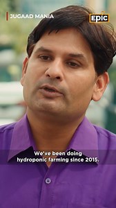 11K views · 30 reactions | What Is Soil Less Farming? | Jugaad Mania...