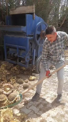 Zeynel Kurum TikTok'ta