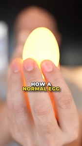 15K views · 195 reactions | This Gadget Mixes Eggs Inside the Shell? 樂 #eggs #egggadget #kitchengadget #kitchenfind #amazon #amazonfinds | Freakin' Reviews | Facebook