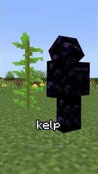 KELP IS MORE USEFUL THAN YOU THINK #minecraft #minecraftbeauty #minecraftbuilding ￼