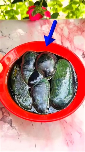 Fish bile 🐟Creative🤩 idea 🔥New tools | Hand Made | Hand Crafts