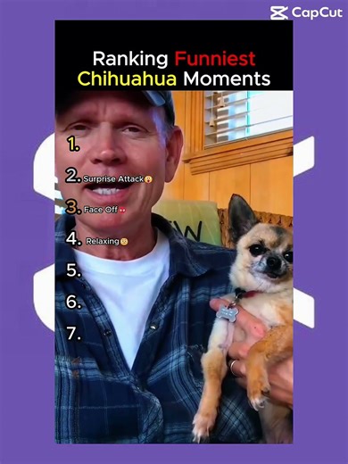 Ranking best chuwawa moments