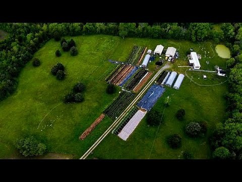 How No-Till Changed Our Farm (so far)