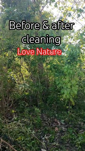 first step cleaning under java plum tree | lomboy #love #nature #provincelife #inspiration