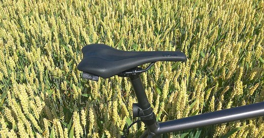 ▷13 Best Bike Saddles for Prostate and Perineum Relief