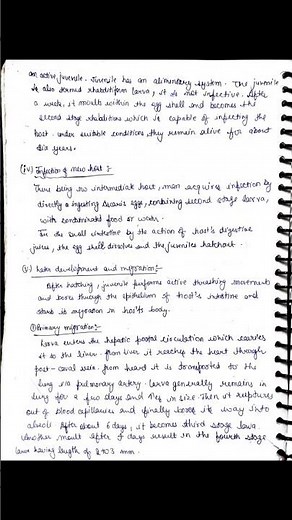 life cycle of ascaris lumbricoides