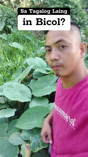 Filipino to Bikol Language Translation of Laing