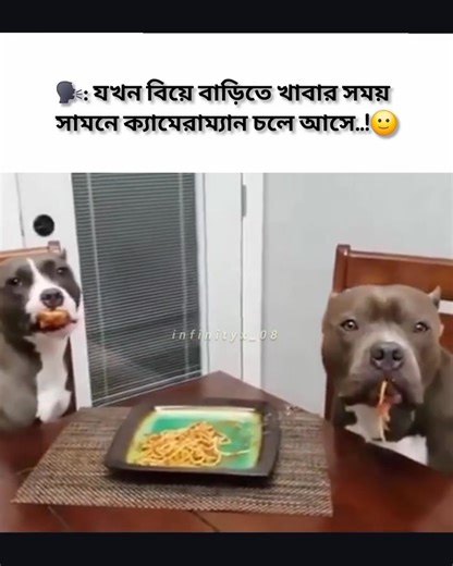 5.4K views · 64 reactions | আসলেই, খাবারটাও ঠিক করে খেতে দেয়না। | Shoe N Bootie | Facebook