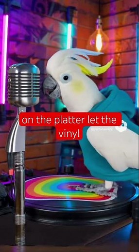“Cockatoo Doing Tricks Like a Pro! 💿🦜”