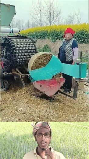 Silage Making Process | ঘাস রোল করে পলিথিনে মুড়িয়ে সংরক্ষণ করা হচ্ছে 🌿⚙️ #shorts #silage #farming