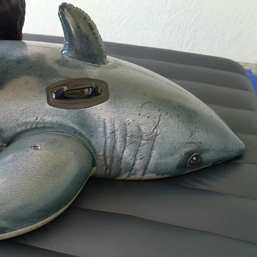 Inflatable Shark Filled with Water