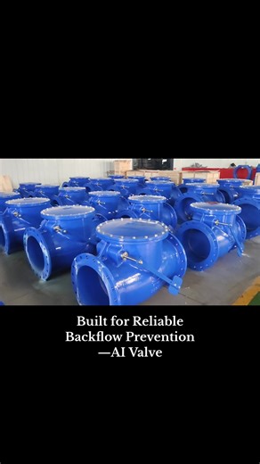 DIN Standard Swing Check Valve for Reliable Backflow Prevention